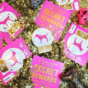 ISO Pink Victoria secret Dog ISO